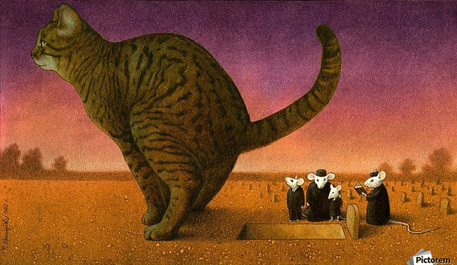 Pawel Kuczynski (8)