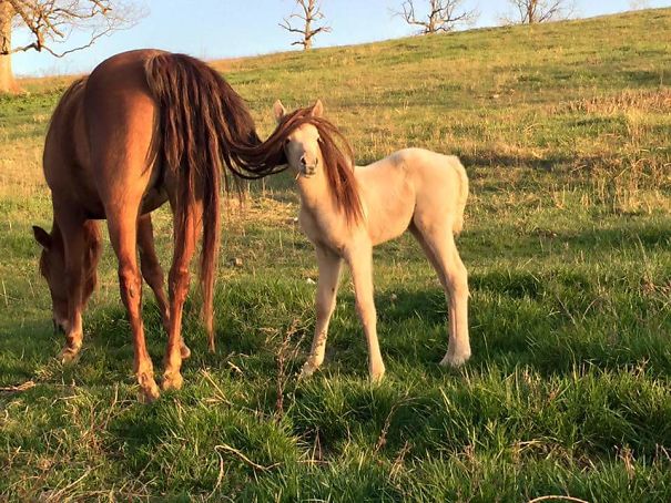 20 fotos tiradas no momento perfeito para confundir sua cabeça