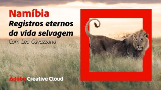 Documentário da Adobe mostra jornada de fotógrafo brasileiro na selva africana - “Namíbia, Registros Eternos da Vida Selvagem”