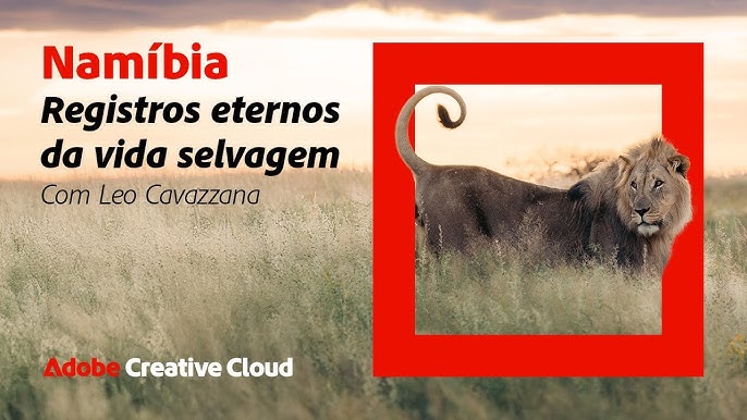 Documentário da Adobe mostra jornada de fotógrafo brasileiro na selva africana - “Namíbia, Registros Eternos da Vida Selvagem”